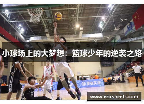 小球场上的大梦想:篮球少年的逆袭之路